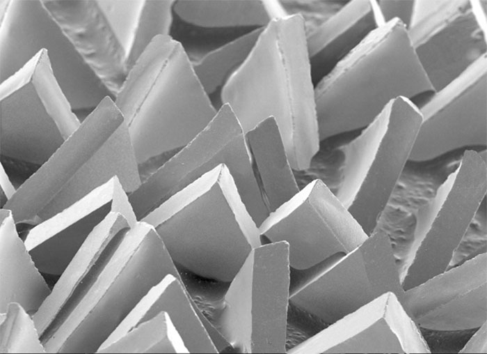 Керамическое зерно точной формы 3M под микроскопом